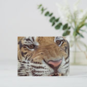 Jahr der Tiger-Postkarte Feiertagspostkarte (Stehend Vorderseite)