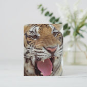 Jahr der Tiger-Postkarte Postkarte (Stehend Vorderseite)