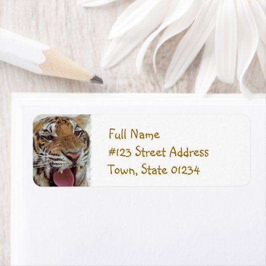 Jahr der Tiger-Rücksendeadresse (Insitu)