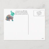 Jahr des Kaninchens 2011 Feiertagspostkarte (Rückseite)