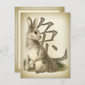 Jahr des Kaninchens chinesisches Neujahr Feiertagspostkarte (Vorne/Hinten)