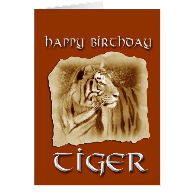 Jahr des Tiger-Geburtstages! Chinesisches (Vorne)