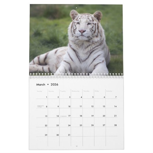 Jahr des Tiger-Kalenders Kalender (Mär 2026)