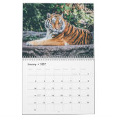 Jahr des Tiger-Kalenders Kalender (Jan 2027)
