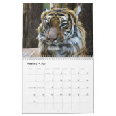 Jahr des Tiger-Kalenders Kalender (Feb 2027)