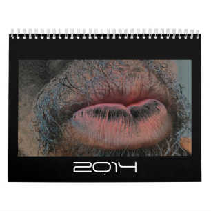 Jahr im Jahr heraus Kalender