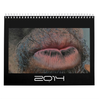 Jahr im Jahr heraus Kalender