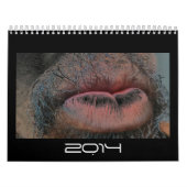 Jahr im Jahr heraus Kalender (Titelbild)