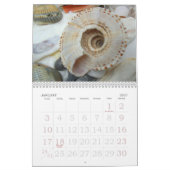 Jahr langer Seashell-Fotokalender Kalender (Jan 2027)