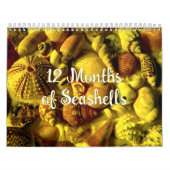 Jahr langer Seashell-Fotokalender Kalender (Titelbild)