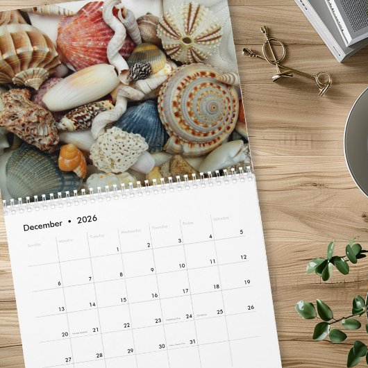 Jahr langer Seashell-Fotokalender Kalender
