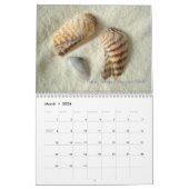 Jahr langer Seashell-Fotokalender Kalender (Mär 2026)