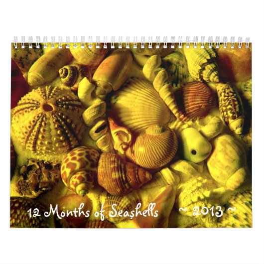 Jahr langer Seashell-Fotokalender Kalender (Titelbild)