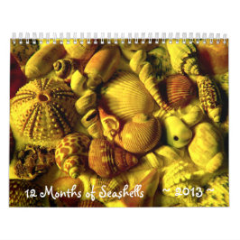 Jahr langer Seashell-Fotokalender Kalender
