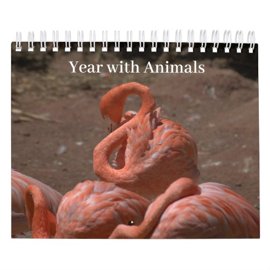 Jahr mit Tieren Kalender (Titelbild)