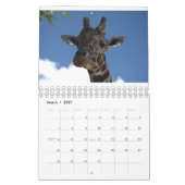 Jahr mit Tieren Kalender (Mär 2027)