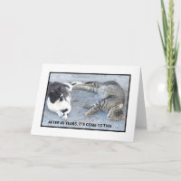 JAHRESINHALT/ZWEI SCHLAFKATZEN/SPASS