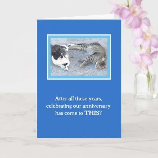 JAHRESINHALT/ZWEI SCHLAFKATZEN/SPASS KARTE (Orchidee)