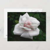 JahresMammogramm Postkarte (Vorne/Hinten)