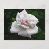 JahresMammogramm Postkarte (Vorderseite)