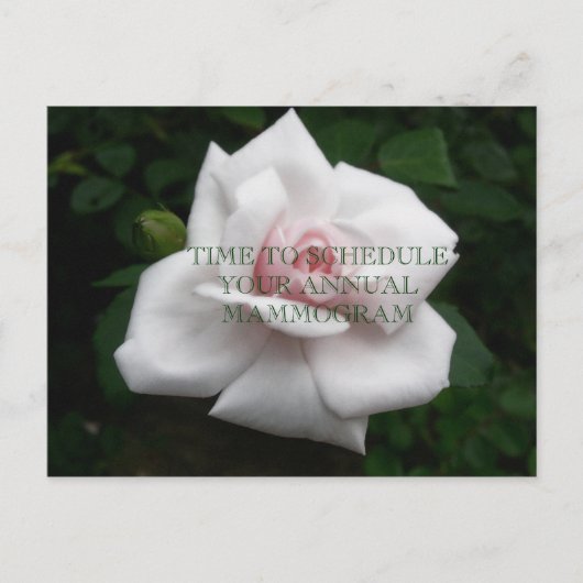 JahresMammogramm Postkarte (Vorderseite)