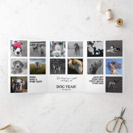 Jahresrückblick Fotos Karte