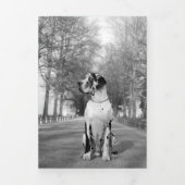 Jahresrückblick Fotos Karte (Cover)