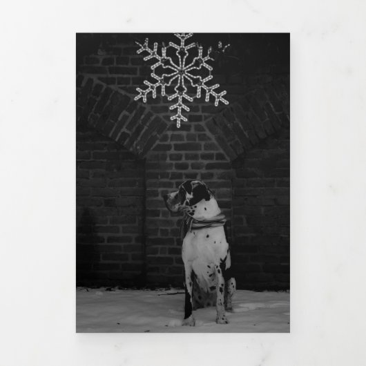 Jahresrückblick Fotos Karte (Cover)