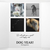 Jahresrückblick Fotos Karte (Innenseite Mitte)