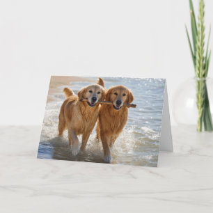 Jahrestag Golden Retriever trägt einen Stock Karte