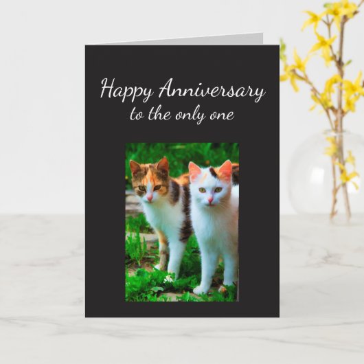 Jahrestag liebte einen Katzen-Spaß Karte (Gelbe Blume)