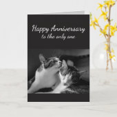 Jahrestag liebte einen Katzen-Spaß Karte (Gelbe Blume)