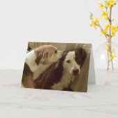 Jahrestagskarte, 2 streichelnde Hunde Karte (Gelbe Blume)