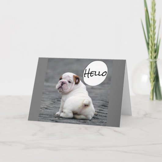 ***JAHRESWÜNSCHE AUS BULLDOG*** KARTE (Vorderseite)