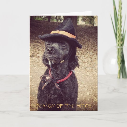 Jahreszeit der Hexe Karte (Vorderseite)