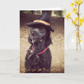 Jahreszeit der Hexe Karte (Gelbe Blume)