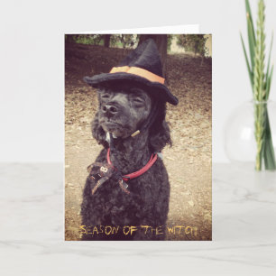 Jahreszeit der Hexe Karte