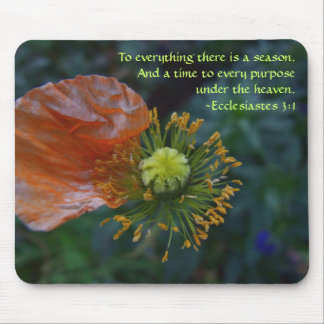 Jahreszeit - Pfirsich-Blumenblatt Mousepad