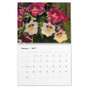 Jahreszeiten im Botanischen Kalender 2023 (Feb 2027)