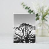 Jahrhundert in Fort Davis Postkarte (Stehend Vorderseite)