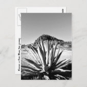 Jahrhundert in Fort Davis Postkarte (Vorne/Hinten)