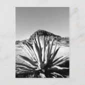 Jahrhundert in Fort Davis Postkarte (Vorderseite)