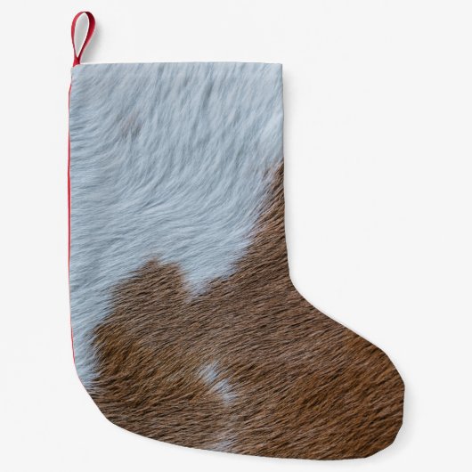 Jahrhundert Kleiner Weihnachtsstrumpf (Vorderseite)
