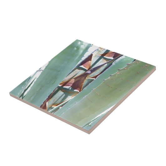 Jahrhundert oder Agave Fliese (Seite)