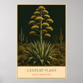 Jahrhundert Pflanze – Vintage botanische Illustrat Poster