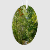 Jahrhundertwaldweg I Ellicott Stadt Natur Ornament (Vorderseite)