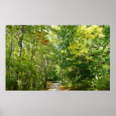 Jahrhundertwaldweg I Ellicott Stadt Natur Poster (Vorne)