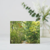 Jahrhundertwaldweg I Ellicott Stadt Natur Postkarte (Stehend Vorderseite)