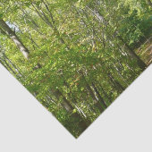 Jahrhundertwaldweg I Ellicott Stadt Natur Seidenpapier (Ausschnitt)