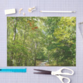 Jahrhundertwaldweg I Ellicott Stadt Natur Seidenpapier (Handwerk)